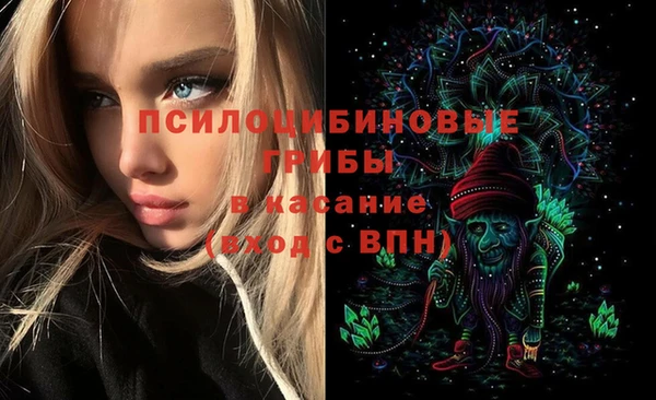 гидропоника Балабаново