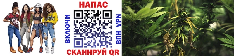 Купить закладки  Подпорожье  Бошки Шишки LSD WEED 